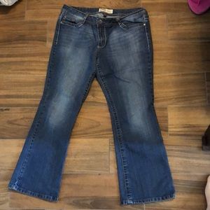 LEI Low Rise Boot Cut Jeans